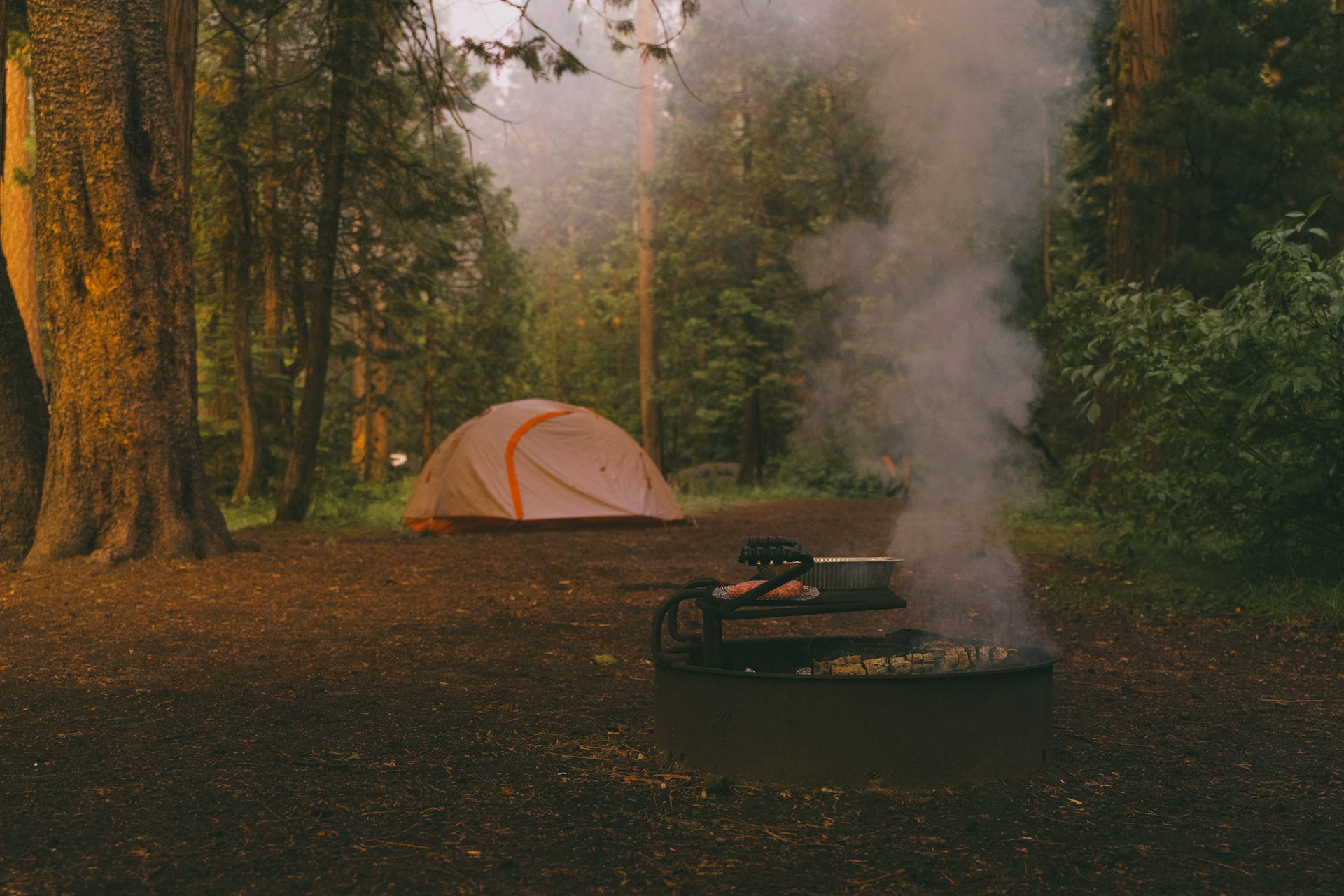 y-s-IdJFhRGsKEA-unsplash